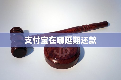 恒峰g22 恒峰手机娱乐官网支付宝在哪延期还款